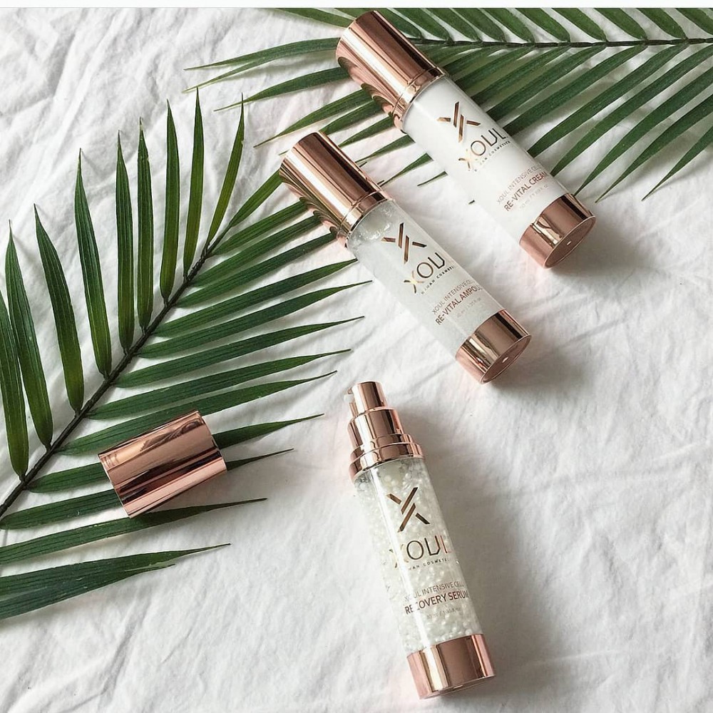 xoulmongolia_37761063_215969185755167_1644444949304836096_n