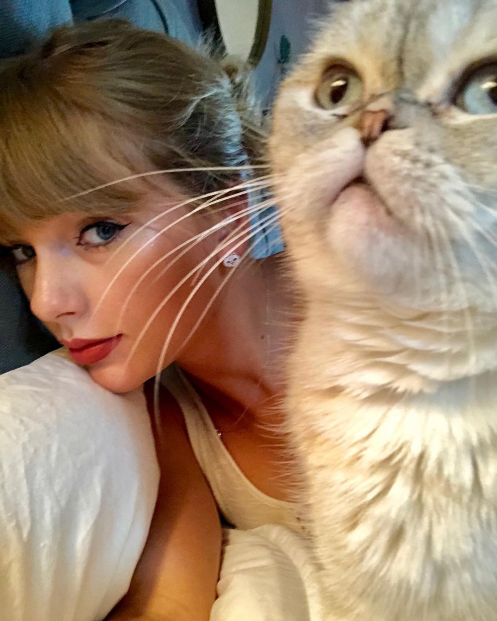 Taylorswift Instagram