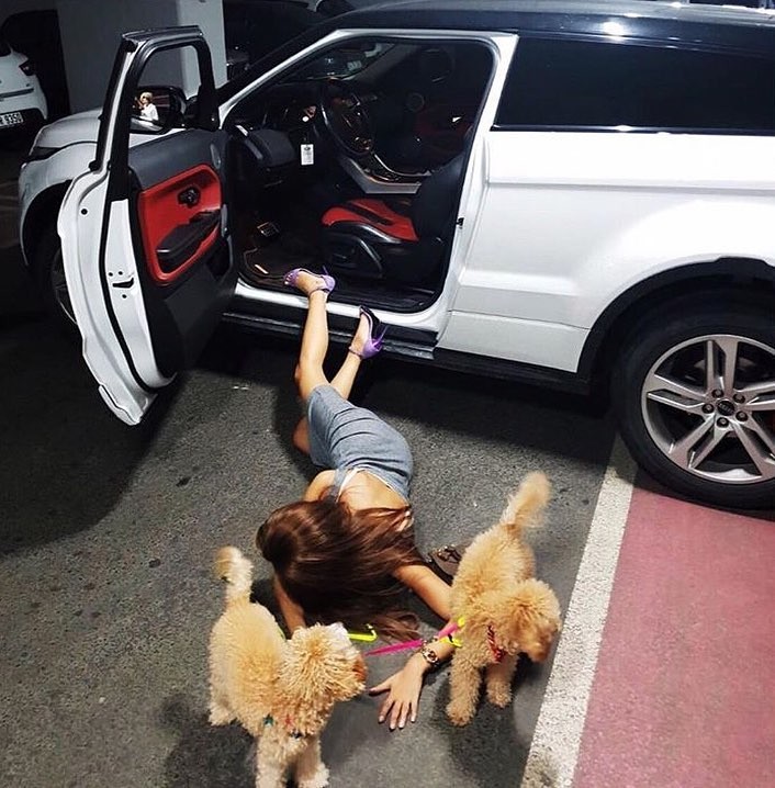 Instagram @falling_stars_challenge