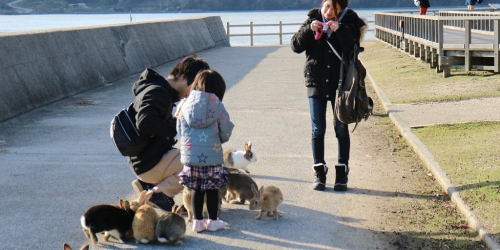 Takehara Hiroshima Tourism Guide