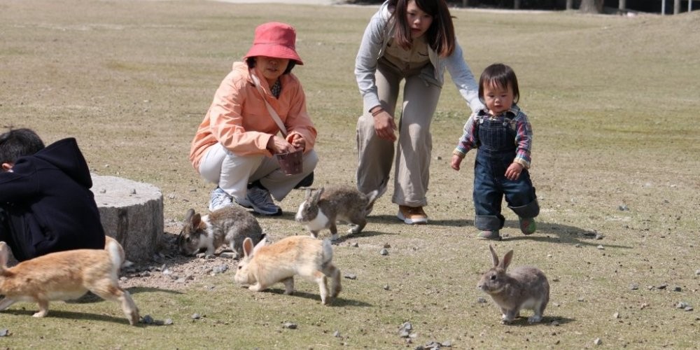 Takehara Hiroshima Tourism Guide