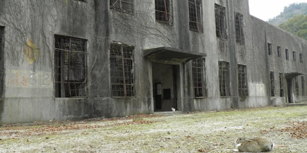 Takehara Hiroshima Tourism Guide