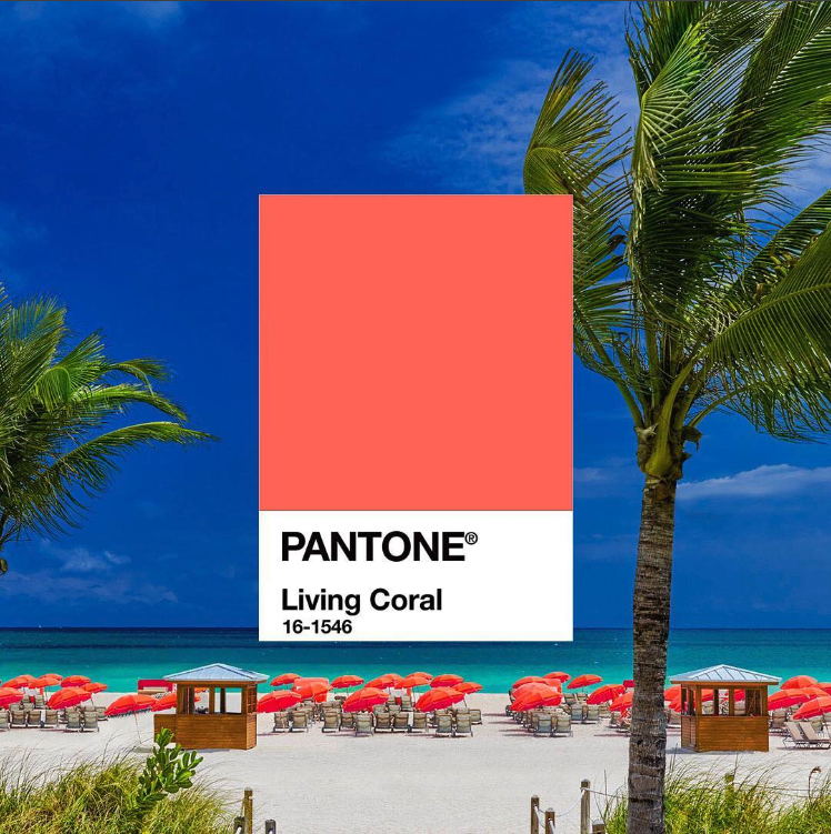 Pantone Instagram