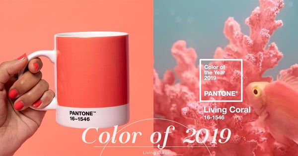 召喚顏色控!Pantone公佈2019年顏色為Living Coral活珊瑚橘色,準備好迎接鮮豔色彩的一年了麼?
