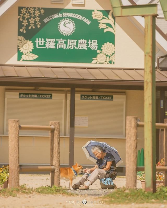 人生不要再次後悔！日本攝影師孫子拍下最暖心的照片！