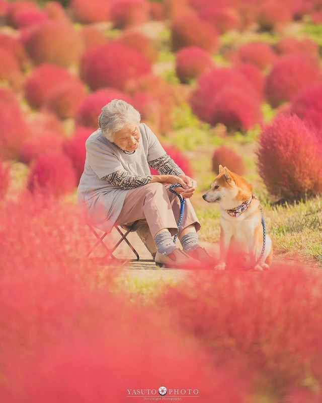 人生不要再次後悔！日本攝影師孫子拍下最暖心的照片！