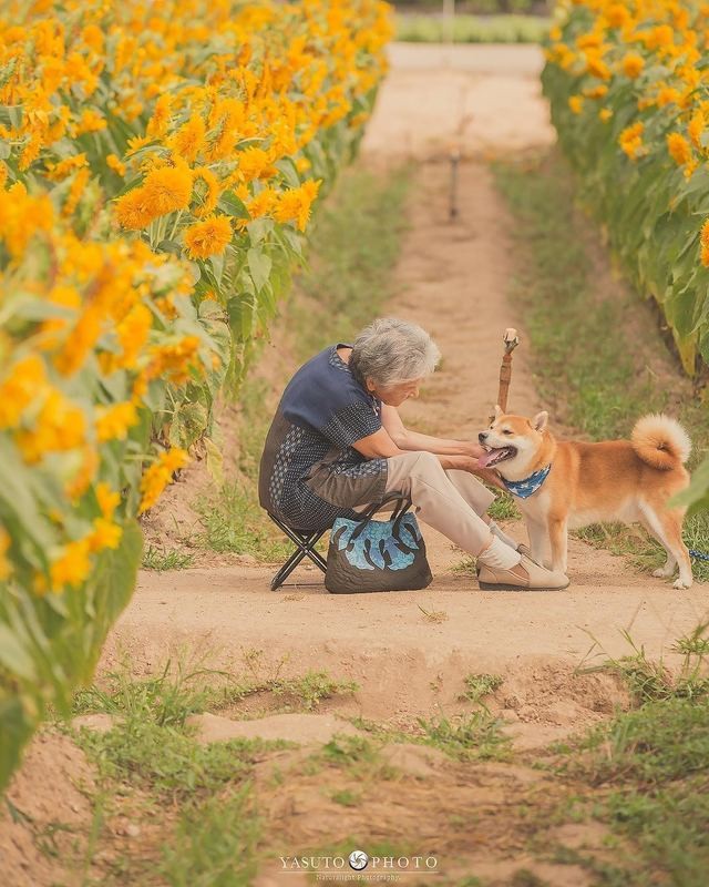 人生不要再次後悔！日本攝影師孫子拍下最暖心的照片！