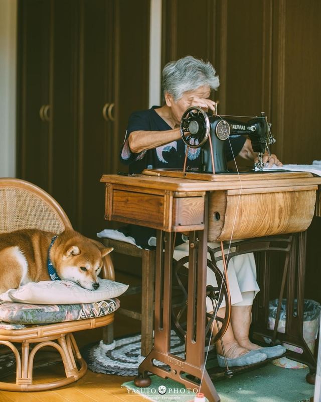 人生不要再次後悔！日本攝影師孫子拍下最暖心的照片！