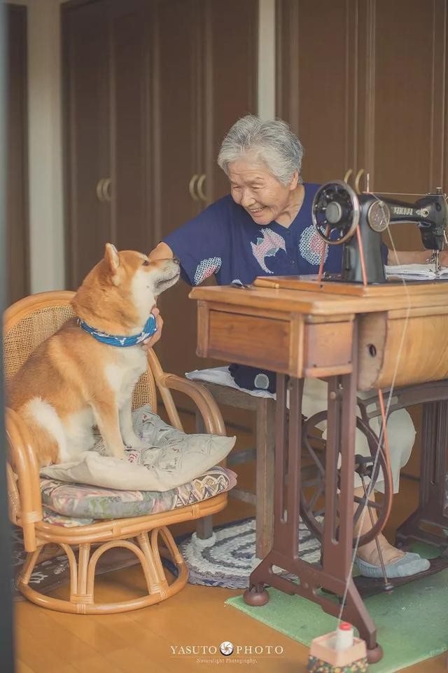人生不要再次後悔！日本攝影師孫子拍下最暖心的照片！