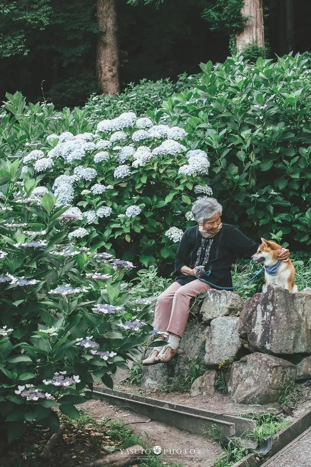 人生不要再次後悔！日本攝影師孫子拍下最暖心的照片！