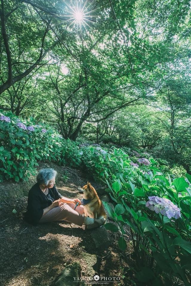 人生不要再次後悔！日本攝影師孫子拍下最暖心的照片！