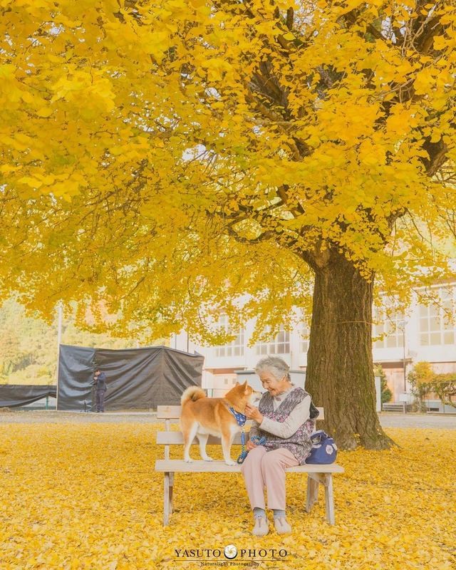 人生不要再次後悔！日本攝影師孫子拍下最暖心的照片！