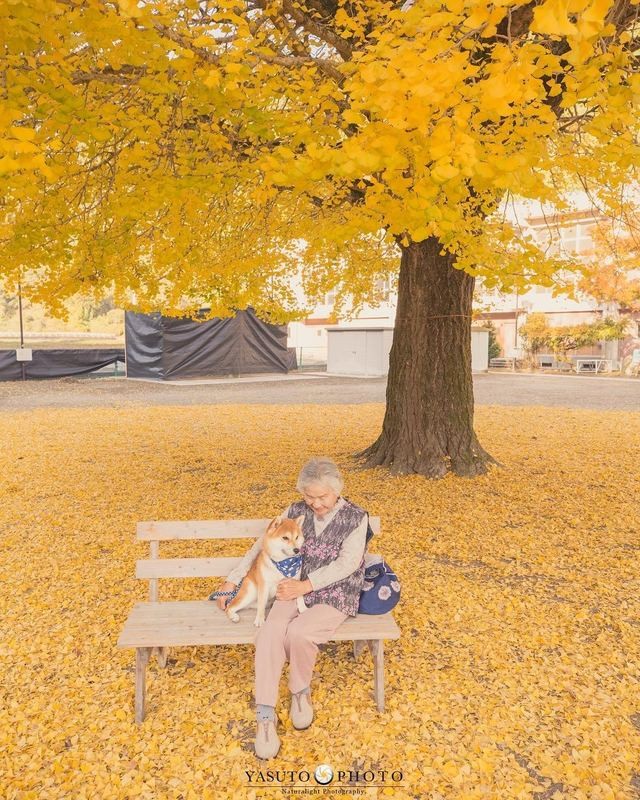 人生不要再次後悔！日本攝影師孫子拍下最暖心的照片！