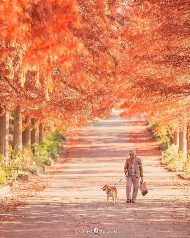 人生不要再次後悔！日本攝影師孫子拍下最暖心的照片！