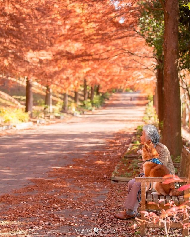 人生不要再次後悔！日本攝影師孫子拍下最暖心的照片！