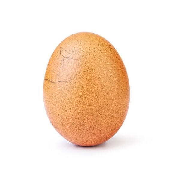 World_record_egg's Instagram