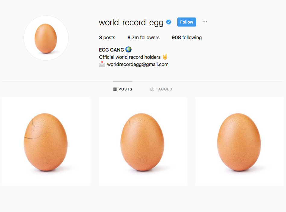 World_record_egg's Instagram