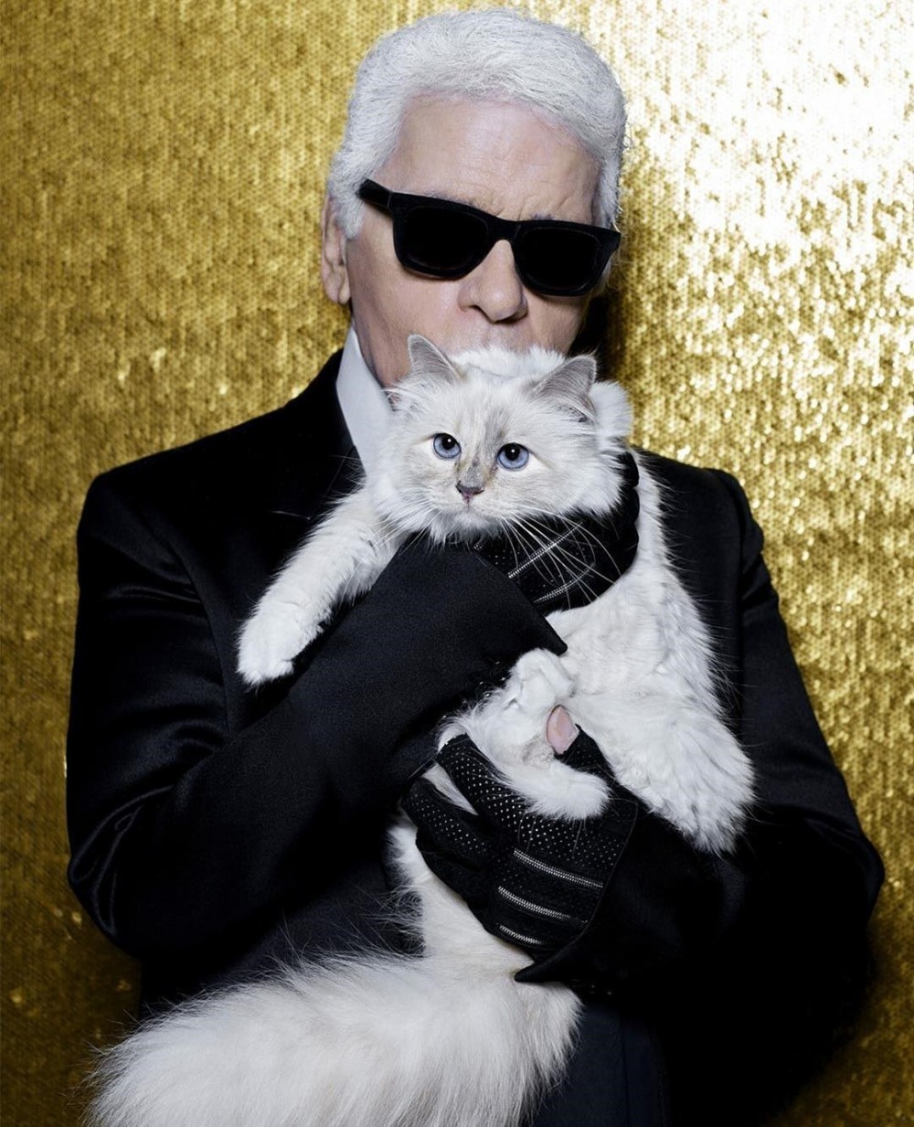 奢華寵貓之道！Karl Lagerfeld將Choupette Lagerfeld寵成世界上最幸福的貓咪！