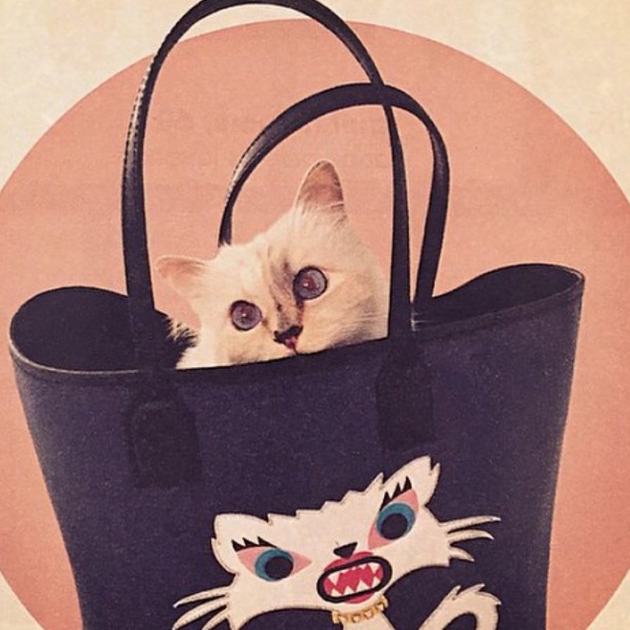 奢華寵貓之道！Karl Lagerfeld將Choupette Lagerfeld寵成世界上最幸福的貓咪！