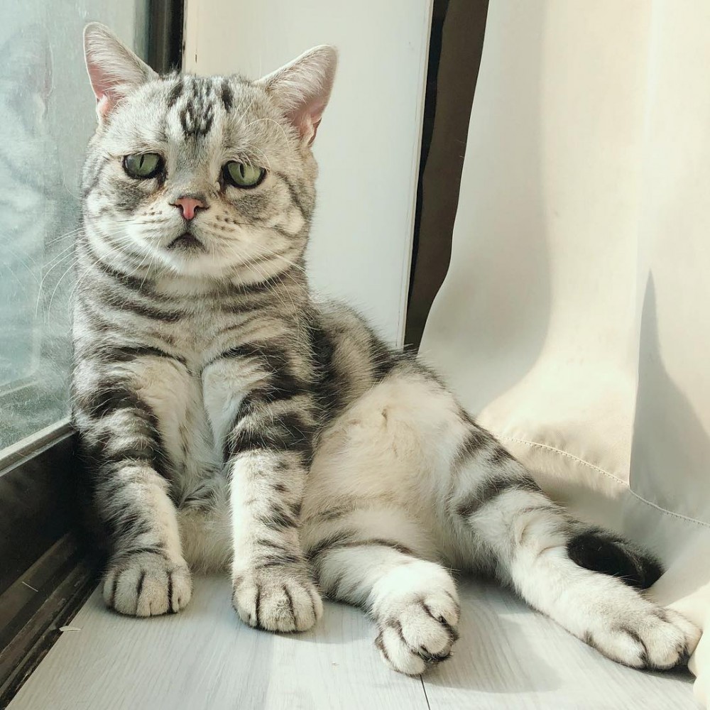 46148015_732892077092905_2867332162885184806_n