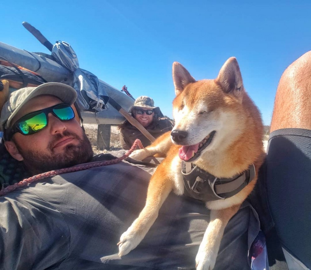 失明柴犬的動人故事！主人陪伴走過黑暗的千里步道！