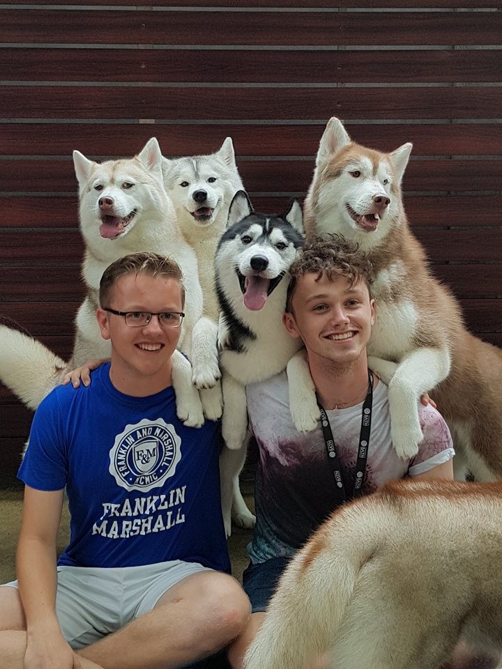 療癒心靈：泰國曼谷哈士奇Cafe 喜歡狗狗的你千萬不能錯過！3