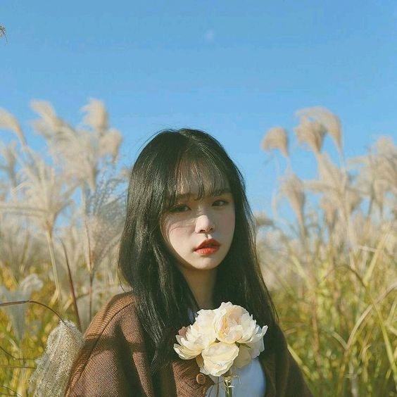 西蒙波娃7