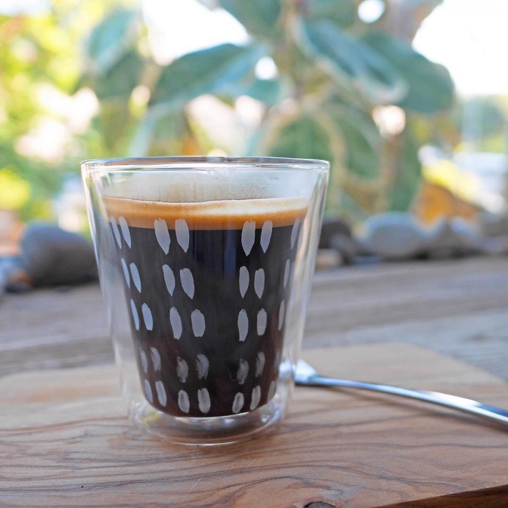 42881772_250978235575431_8338859219497912828_n