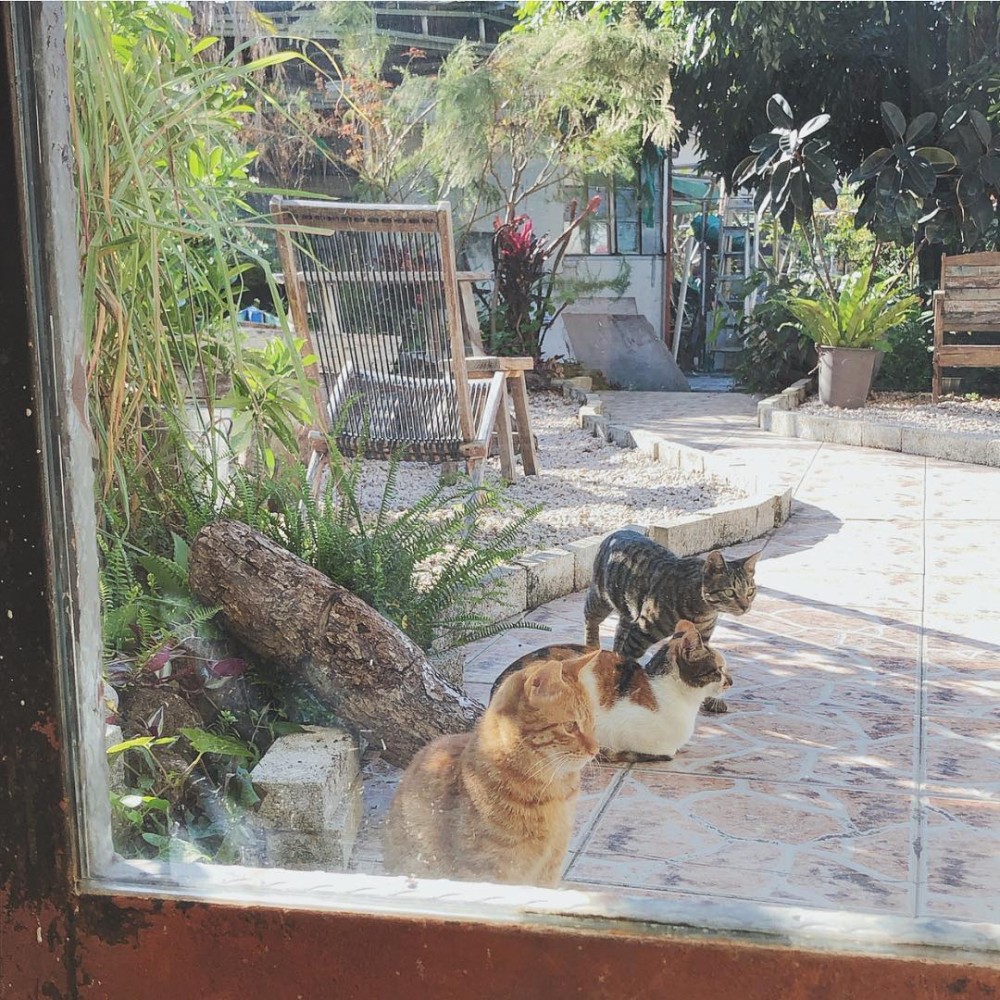 47161649_1421553137976270_322069985395247652_n