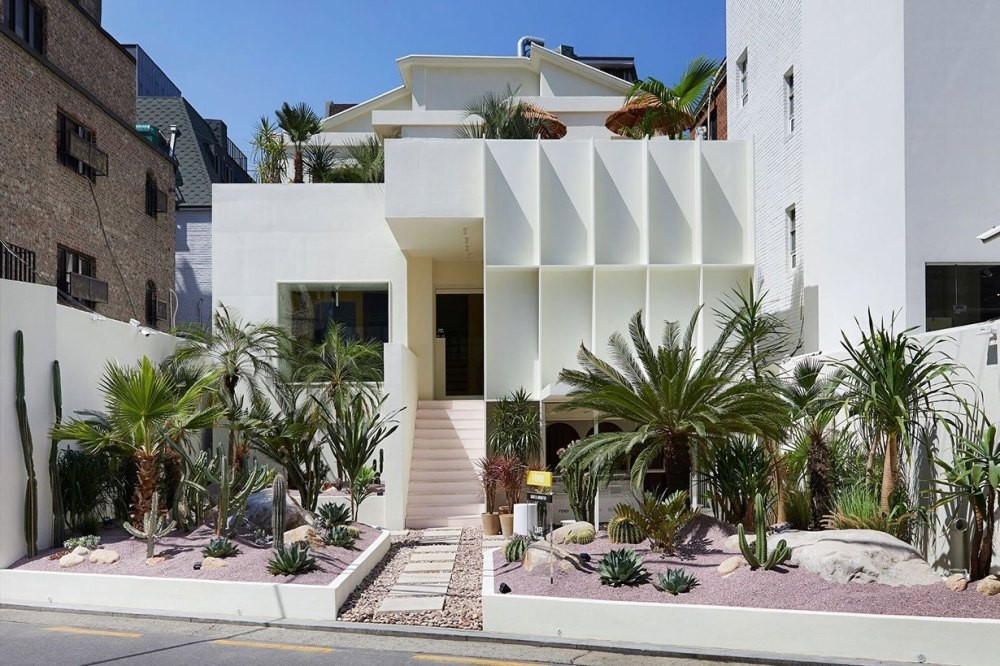 Fendi、Gentle Monster