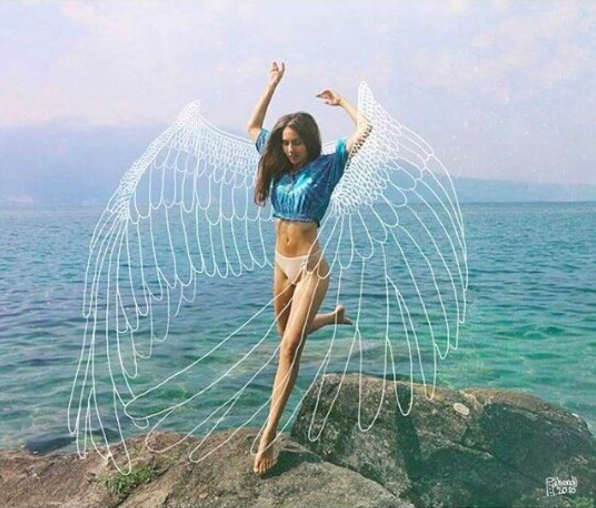 Screen Shot 2019-05-31 at 4.13.42 PM