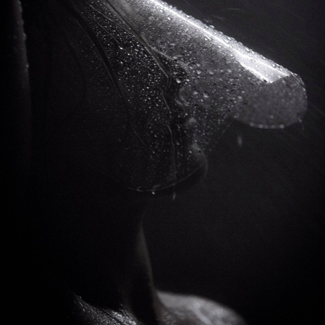 Screen Shot 2019-06-18 at 7.33.46 PM