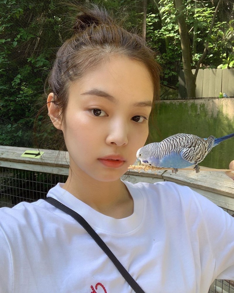 jennierubyjane's Instagram