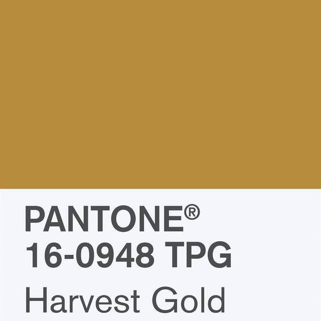 Pantone 4款「旅遊代表色」12