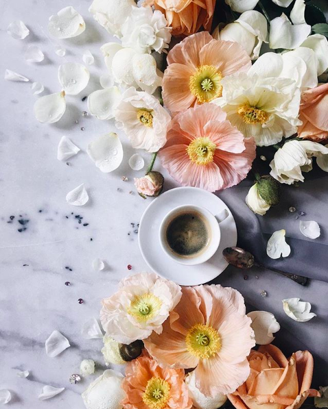 Screen Shot 2019-08-06 at 5.26.07 PM