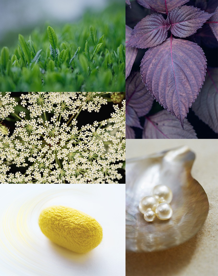 為生活尋找智慧之門:陳法拉的抗壓哲學