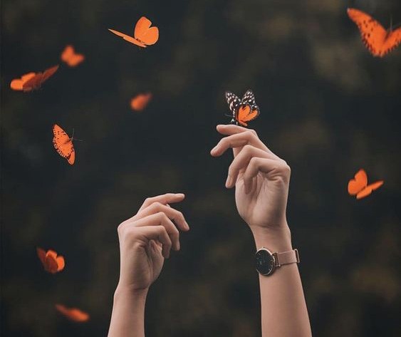 Pinterest
