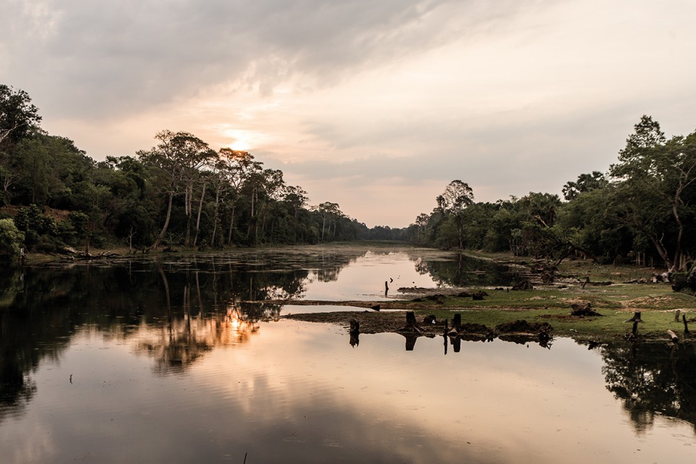 真實的女人最美:Angelina Jolie為MON GUERLAIN拍攝微電影,背部刺青透露內心世界