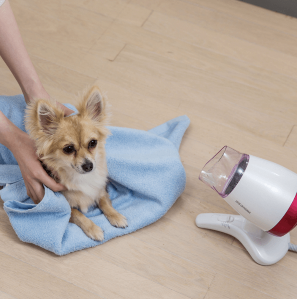 豎立式風筒也可讓寵物受惠幫寵物沖涼更方便輕易