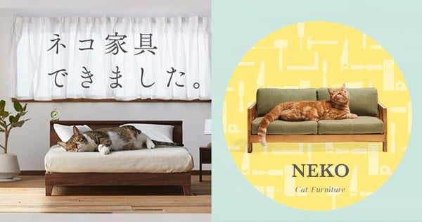 【東京旅遊】喵星人懂享受！來東京必定看人氣貓咪傢俱展覽