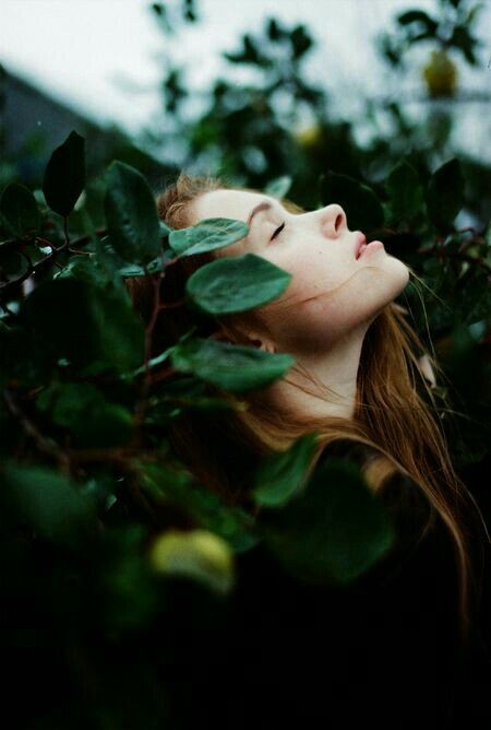 Pinterest
