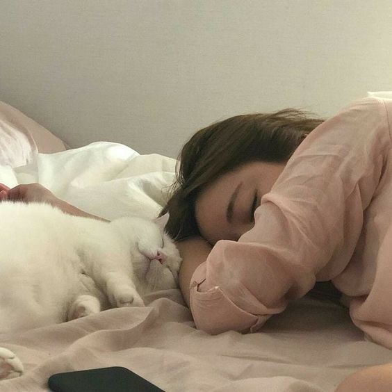 佈置家居更可培養出生活品味,以及鍛練自己解決問題的能力