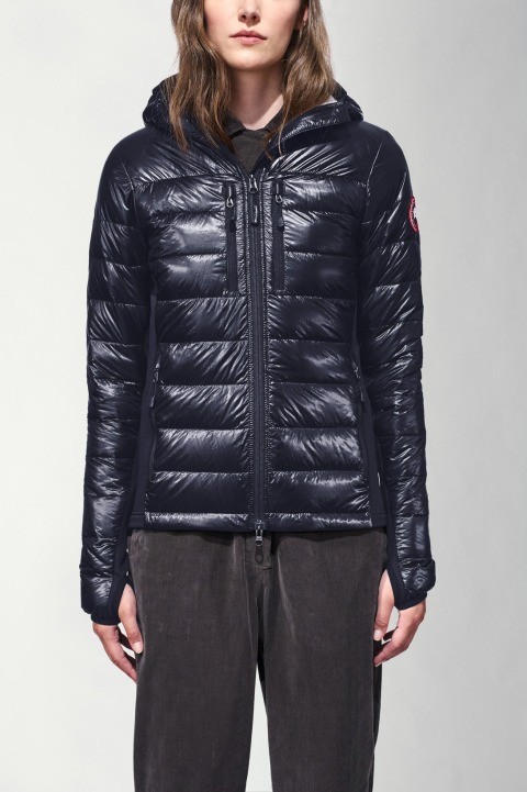 Canada Goose