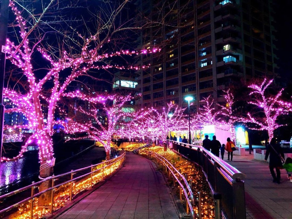 minna-no-illumi's Official 