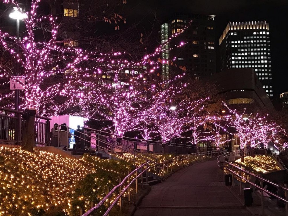 minna-no-illumi's Official 