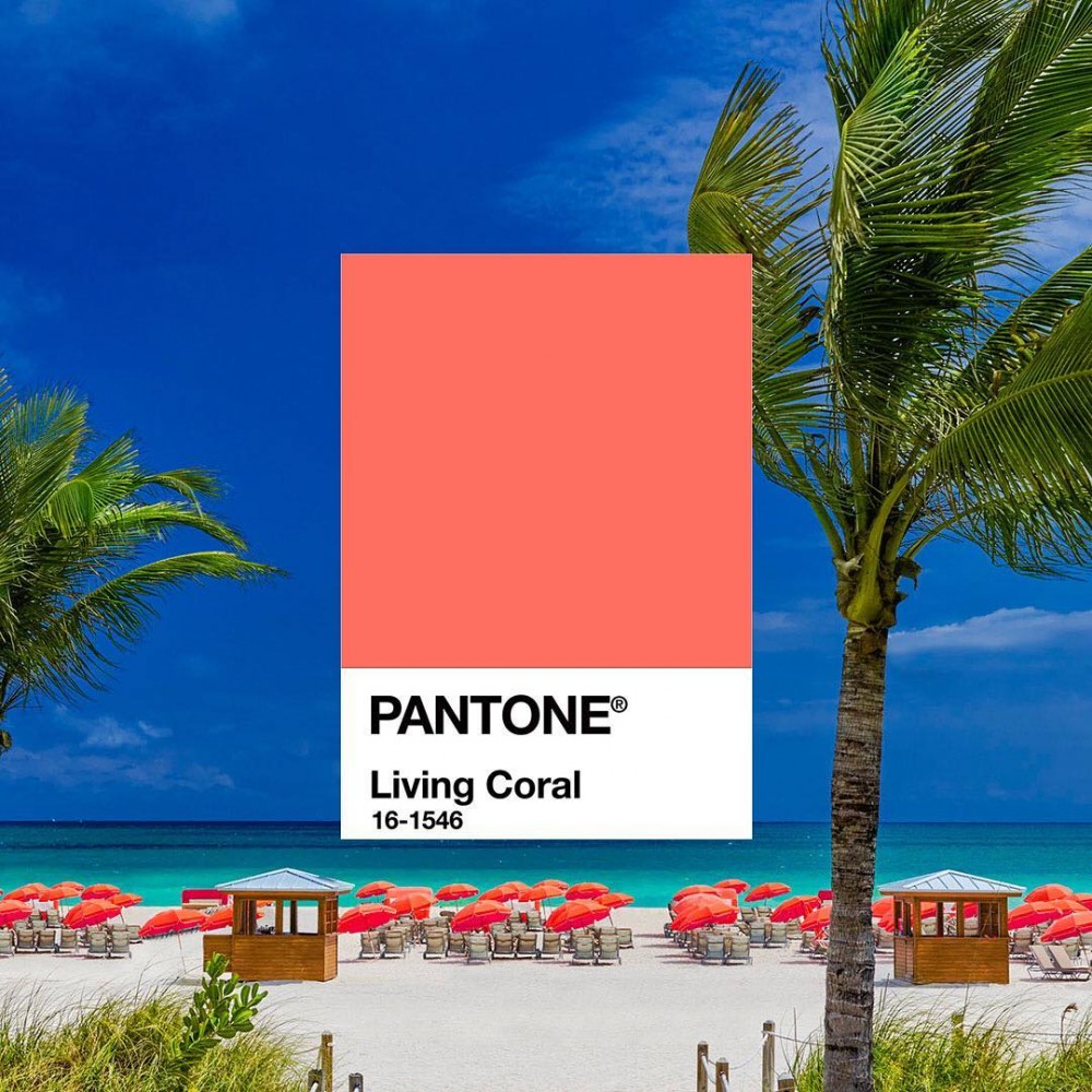 PANTONE
