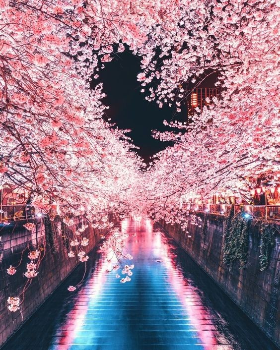 Pinterest