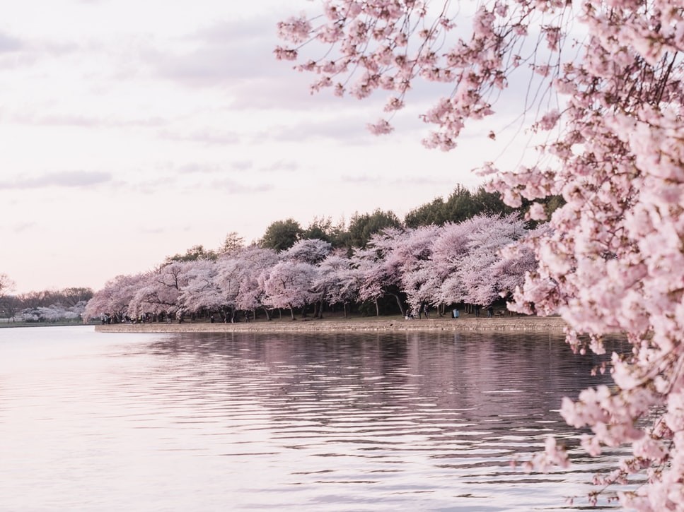 Unsplash