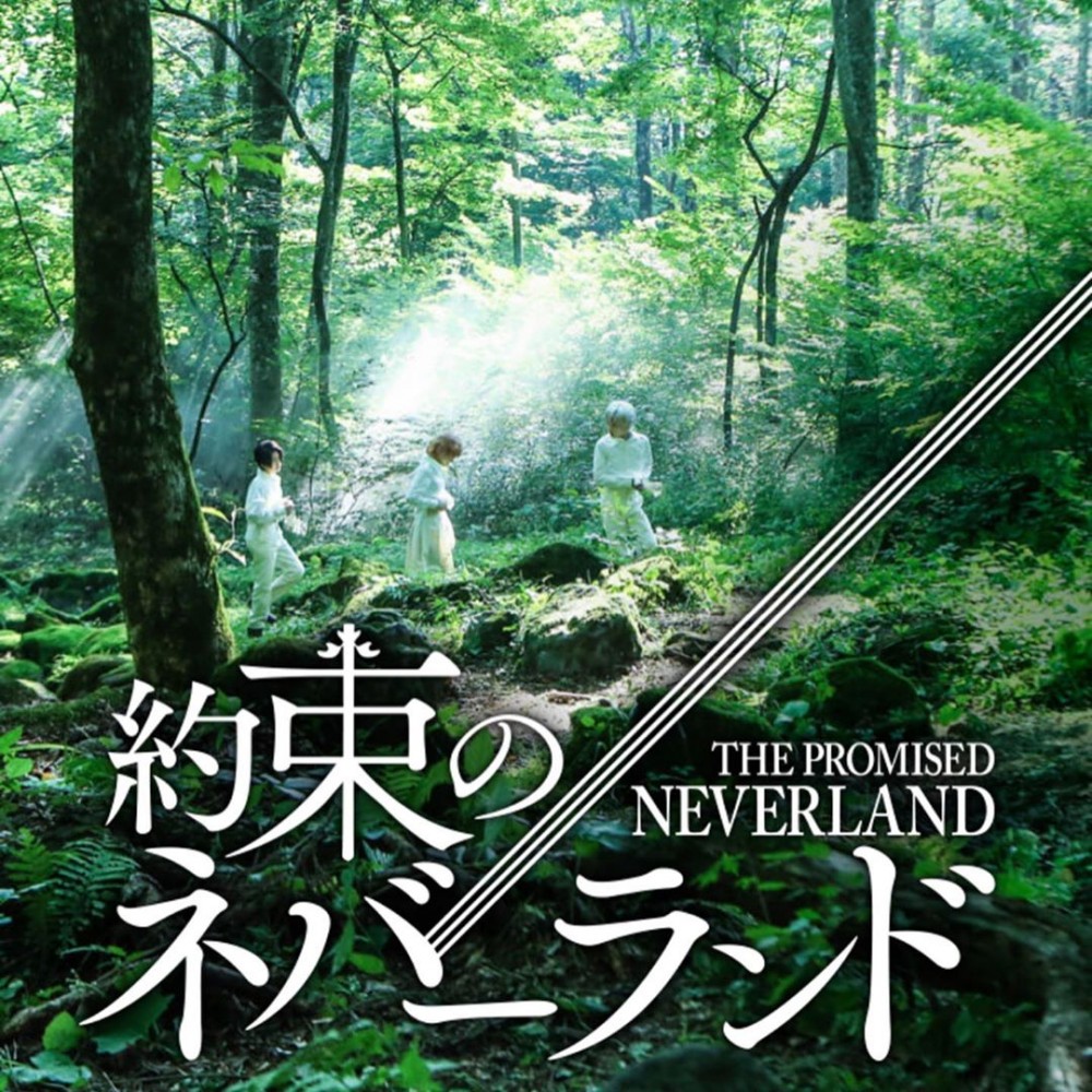 83890477_1385622951644376_2990793290994429512_n