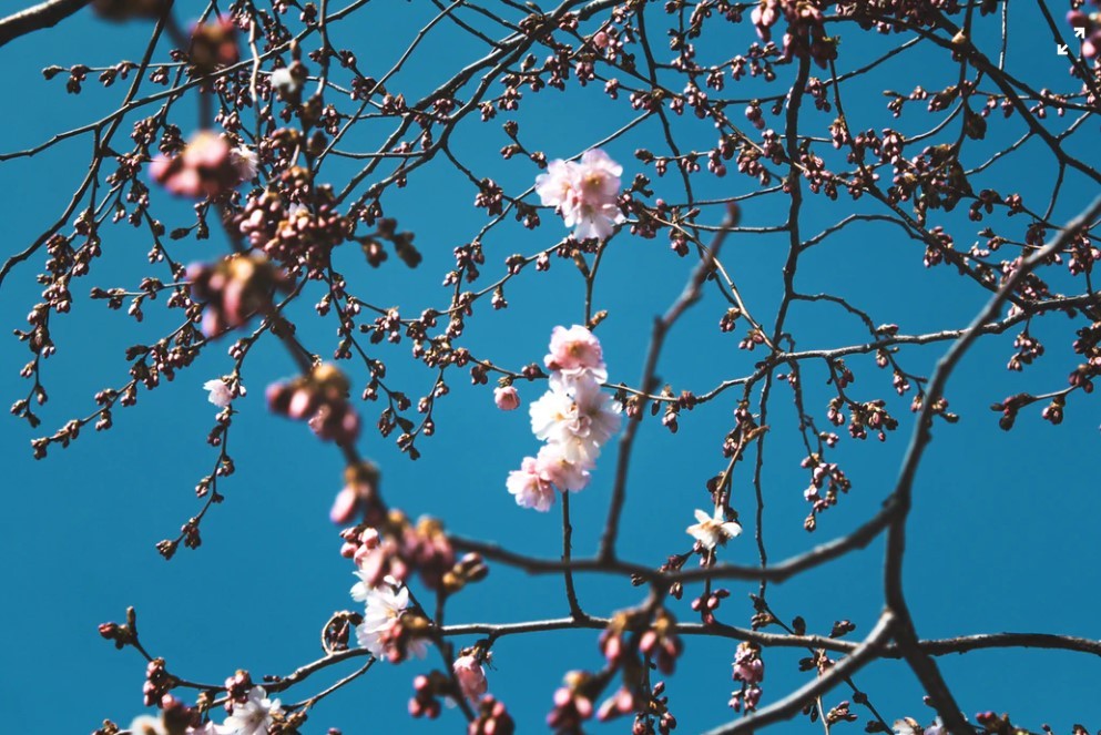Unsplash
